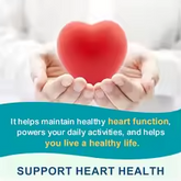 Omega-3 Fish Oil Dietary Supplement – DHA & EPA, Joint, Brain, Eye & Skin Health, Immune Support, 120 Capsules