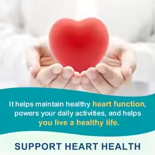 Omega-3 Fish Oil Dietary Supplement – DHA & EPA, Joint, Brain, Eye & Skin Health, Immune Support, 120 Capsules