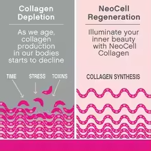 Super Collagen Peptides + Vitamin C & Biotin – Gluten Free, Hair, Skin & Nail Support